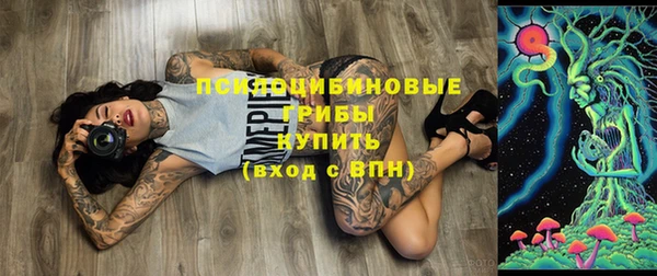 молекула духа Инсар