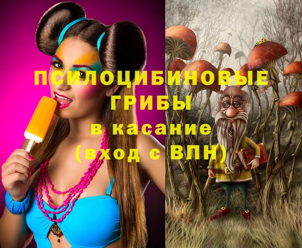 спиды Алексин