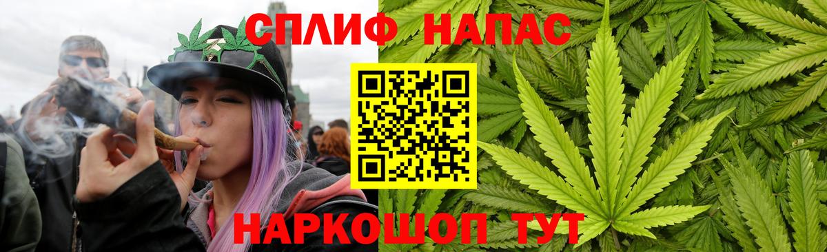 Канабис тримм  Вход с VPN  Канабис AK-47  Бошки Шишки сатива  Каннабис планчик  Красноуфимск 